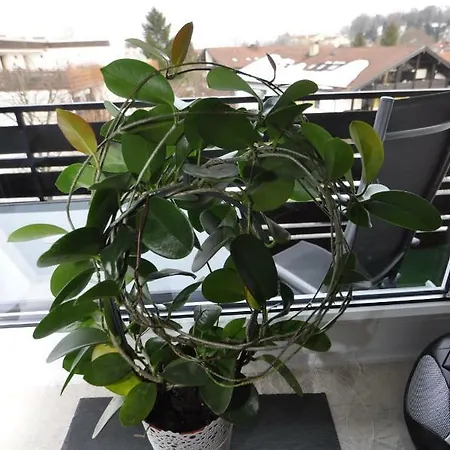 Ferienwohnung-in-prien 아파트 프리엔암치엠시